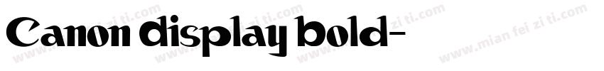 Canon Display Bold字体转换